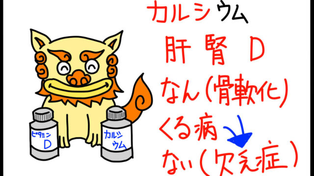 衛生学におけるビタミンD特徴ゴロイラスト